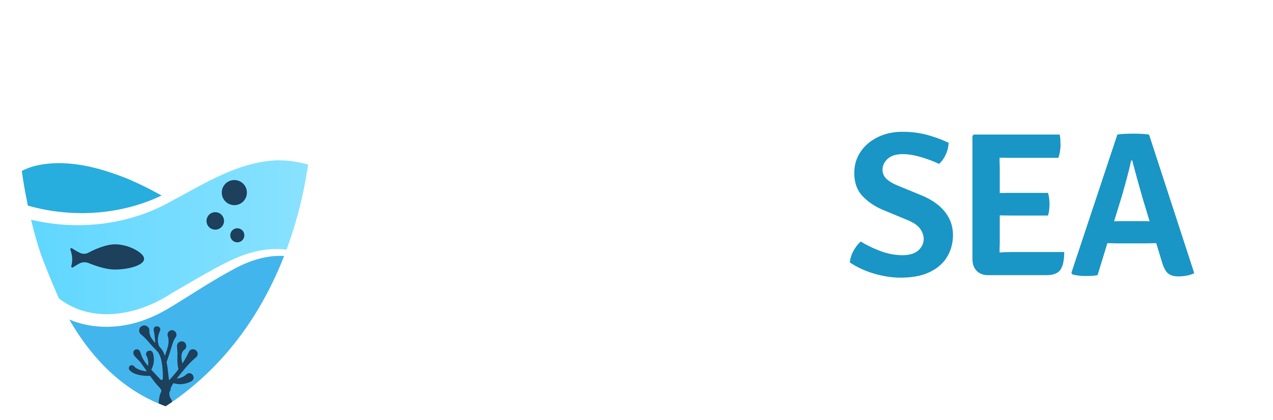 SAFESEA